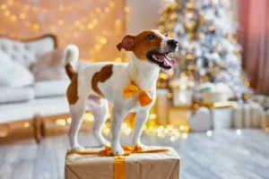 5 Great Gift Ideas for Pet Lovers